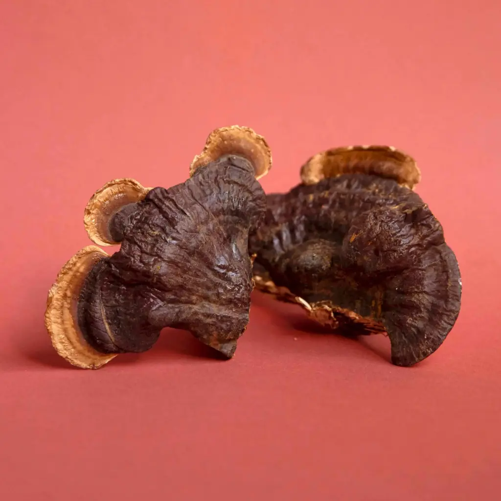 [B2C] Dried Reishi Mushrooms