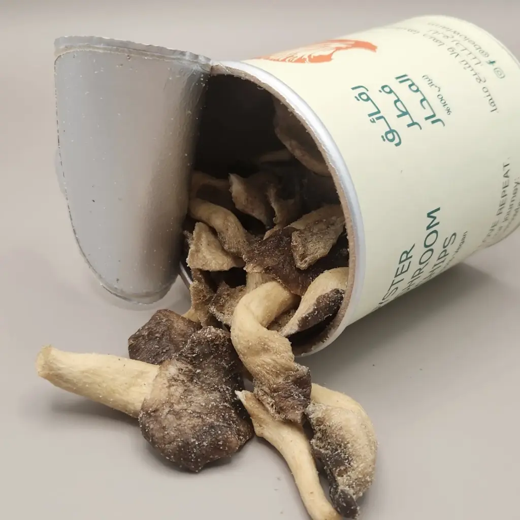 [B2C] Whole Oyster Chips