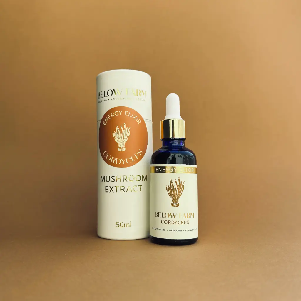 [B2C] Cordyceps Extract