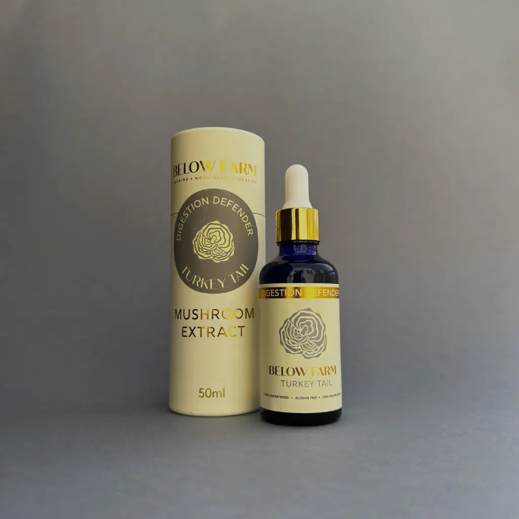 Turkey Tail  Extract