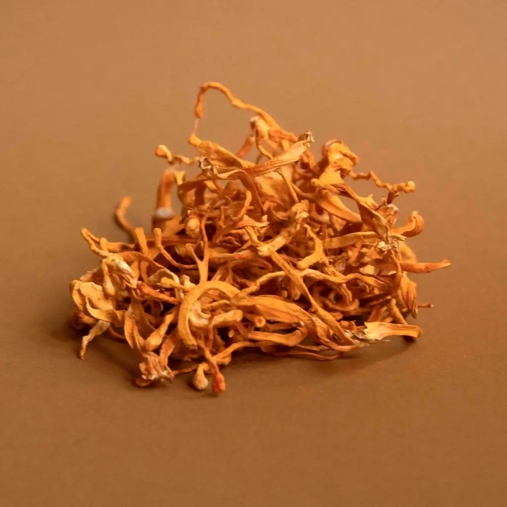 [B2C] Dried Cordyceps Mushrooms