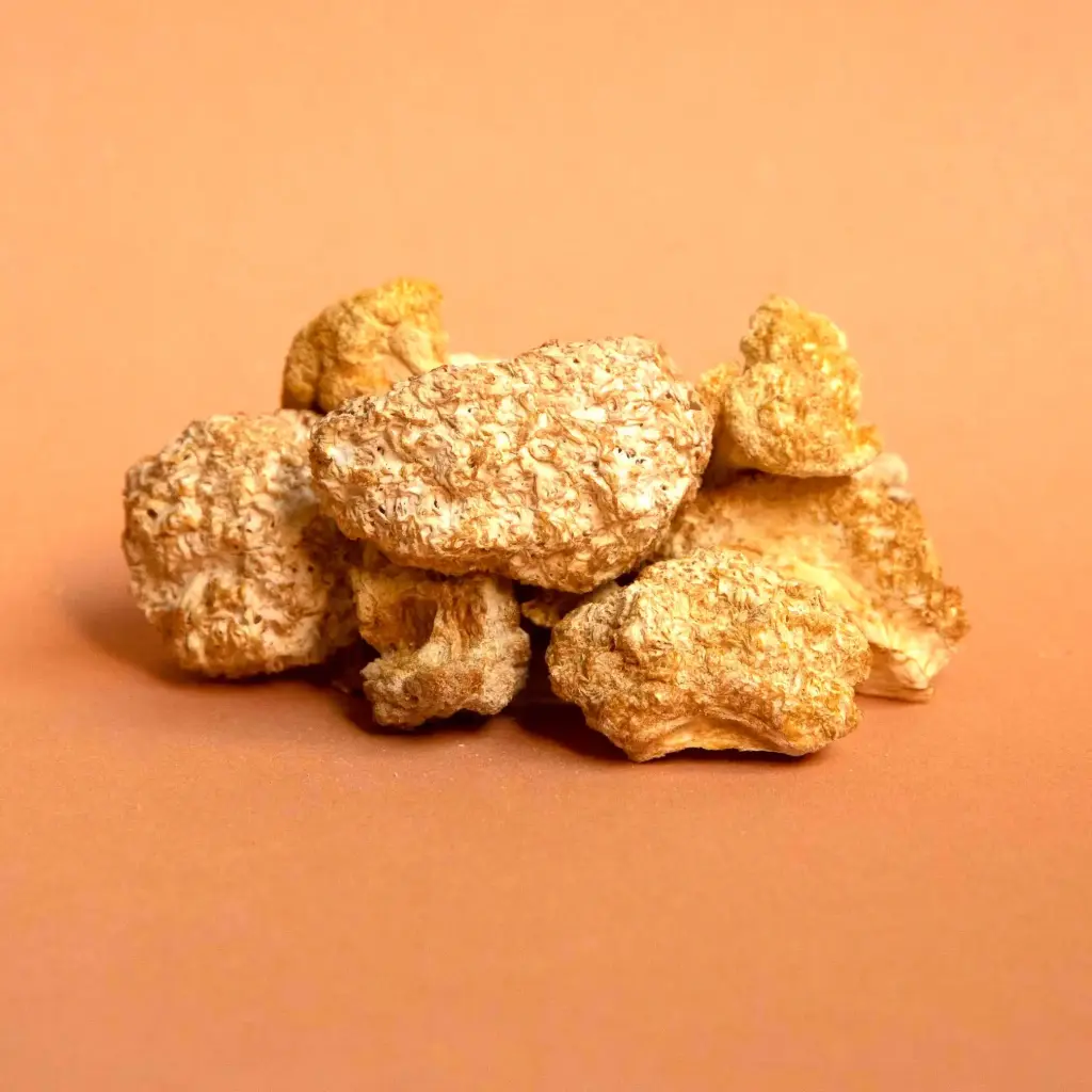 [B2C] Dried Lion's Mane Mushrooms